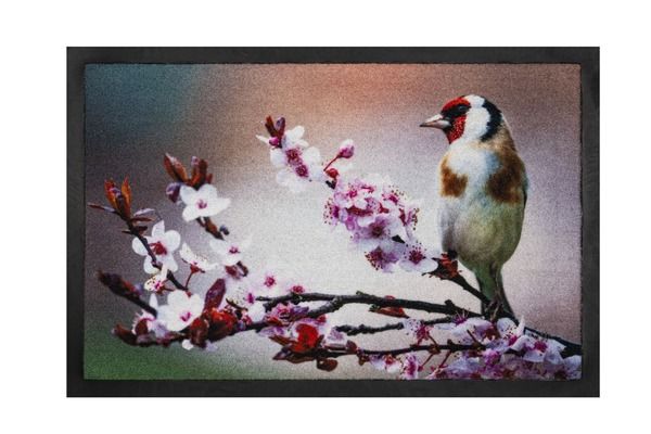 Personalisierte Fußmatte ANNAPURNA